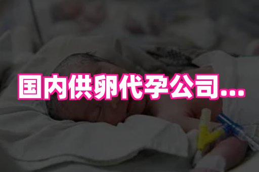 gfg孕网 1
