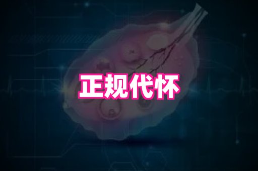 gfg孕网 2