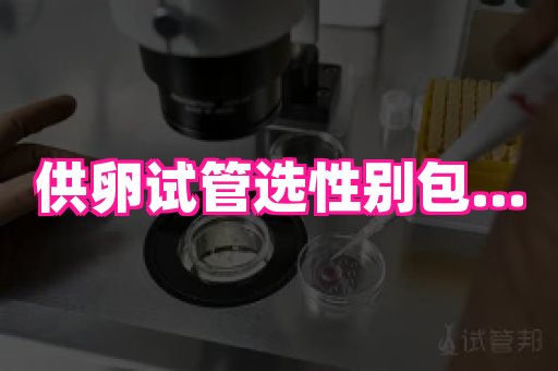 gfg孕网 4